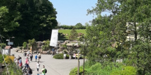 Projektový den mimo MŠ - Návštěva Zoo Ostrava - 1622749089_20210603_105013 (1).jpg